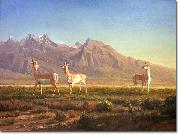 Albert Bierstadt, Prong-Horned Antelope